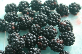blackberry perfection